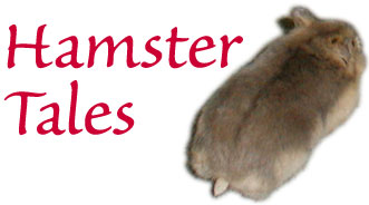Hamster Tales